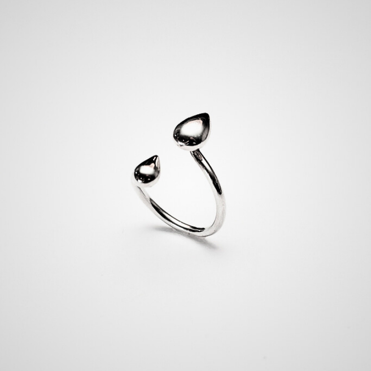 Anillo Fluidez