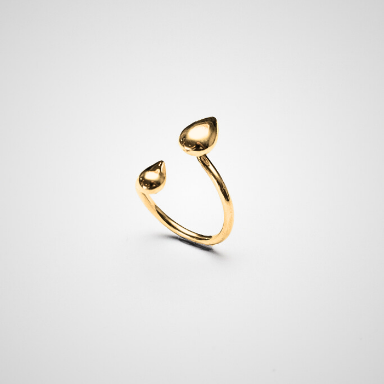 Anillo Fluidez