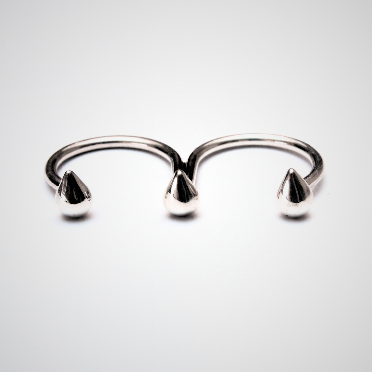 Anillo Conexión